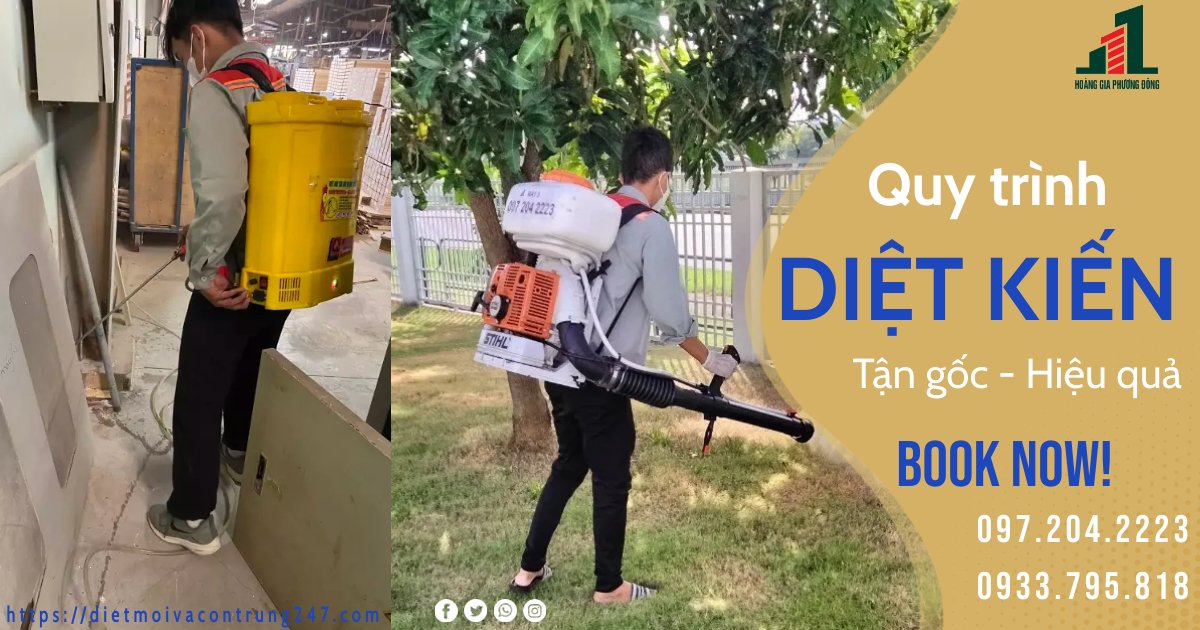 QUY TRÌNH DIỆT KIẾN